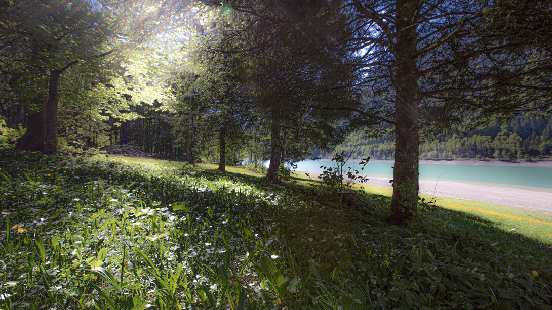 Summer at the Lake © Michael Stillwater