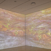 Sondra Perry. Courtesy of ICA