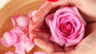 Manos en agua de rosas