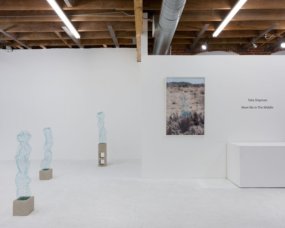 Talia Shipman. Courtesy of Chimento Contemporary