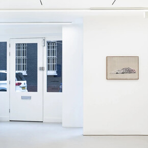 Ciarán Murphy, this appear, installation view. Courtesy of GRIMM Gallery