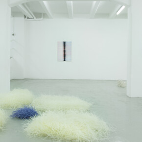 Thin three-dimensionality / Sottile tridimensionalità, Hiva Alizadeh | Guillaume Linard-Osorio | Michelangelo Penso. Installation view @ The Flat – Massimo Carasi, Milan Michelangelo Penso - Hiva Alizadeh
