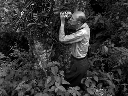 William Beebe observando con lupa unas flores en Rancho Grande