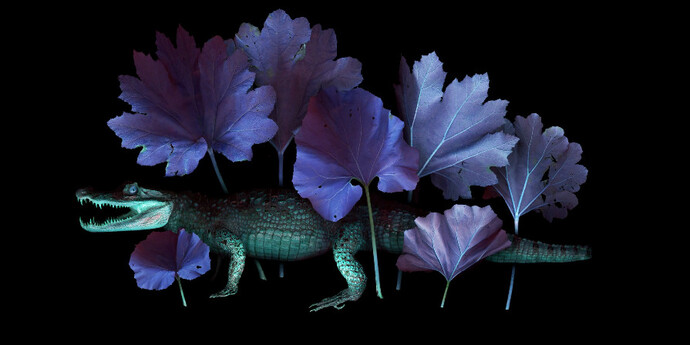 East Of The Garden. Courtesy of StolenSpace Gallery