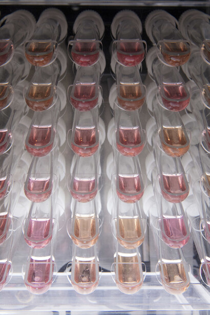 New Molecules & Stem Cell Retinoid Screen. Courtesy of Empty Gallery