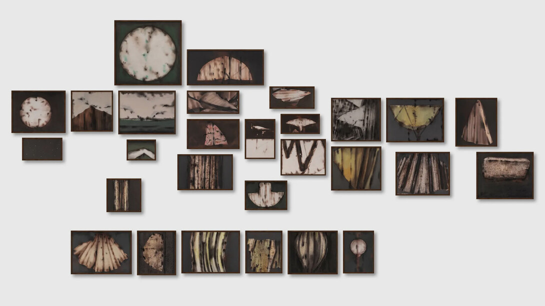 Suman Dey, Nature I (Series: Nature), exhibition view. Courtesy of Emami Art