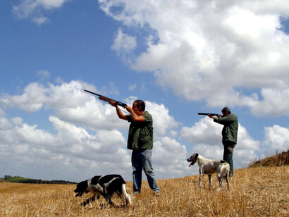 La caccia, uno sport crudele