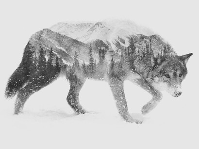 Lupo. Antonio Lusi: il Lupo della musica alla ricerca dell'essenza emotiva