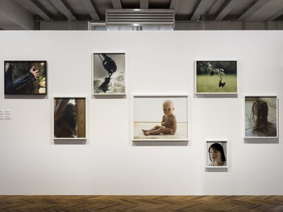 Torbjørn Rødland. Courtesy of Fondazione Prada