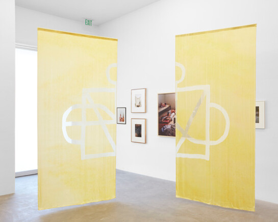 Over the Rainbow, Exhibition view. Courtesy of Praz-Delavallade