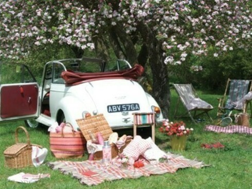 All the ‘ingredients’ for a picnic