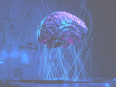 Since animals have a less complex brain than ours, mind uploading should be easier to emulate