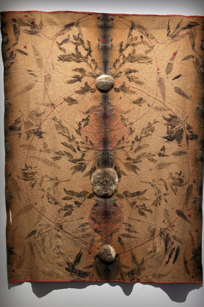 Juanita McLauchlan, Yilaa minyaminyabal maaru-ma-lda-y (soon everything will be healing), exhibition view. Courtesy of Art Gallery of NSW