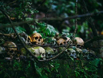 Skull lot on forest
