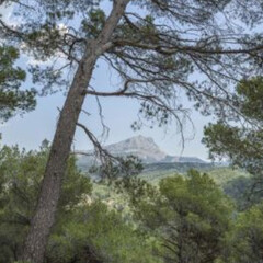 Boomoon. Courtesy of Galerie Lelong