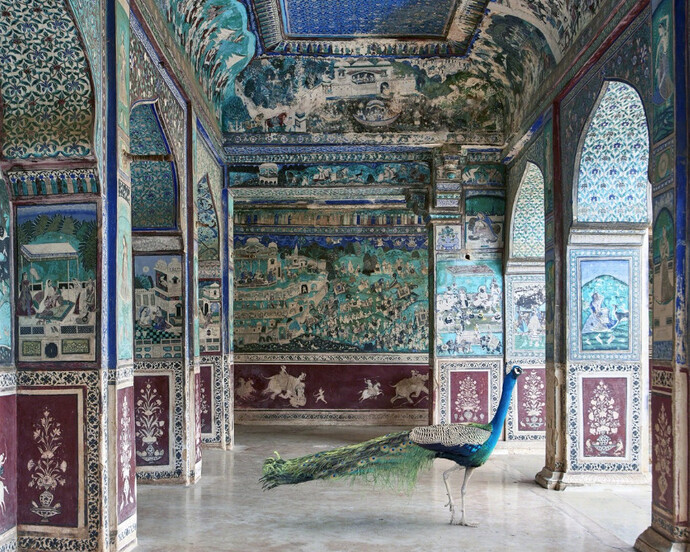 Karen Knorr. Courtesy of Jackson Fine Art 