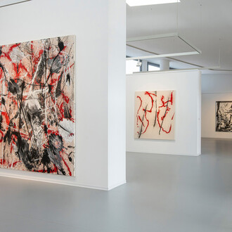 Patrícia Koyšová, Free fall, exhibition view. Courtesy of Danubiana
