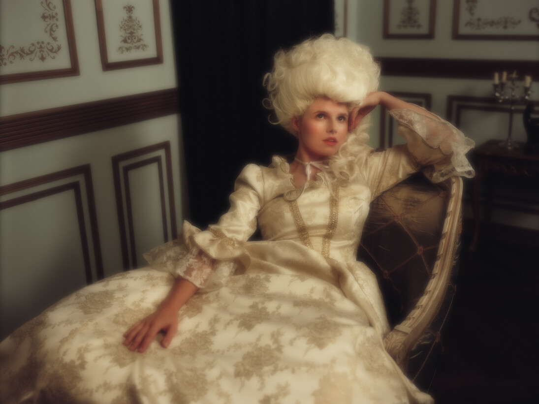 A Royal Portrait in the Salon 1783 @tylershields 