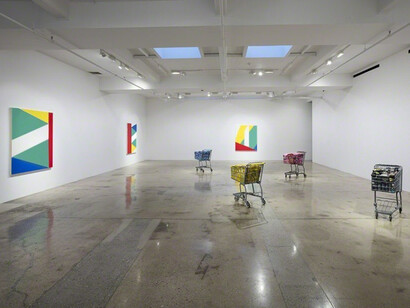 Carne World Tour, Exhibition view. Courtesy of Steve Turner