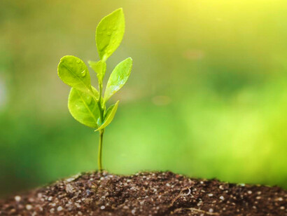 Un equilibrio entre un sector público eficiente y un sector privado sustentable es fundamental. No más una sociedad ideológicamente polarizada