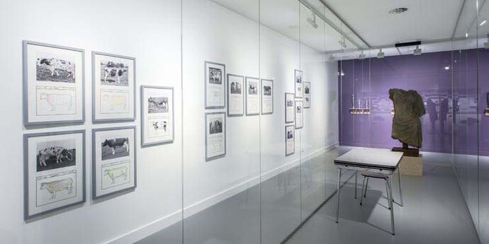 Jef Geys. Courtesy of M HKA