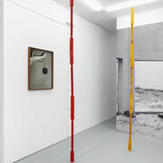 Joanna Piotrowska. Courtesy of Galeria Madragoa