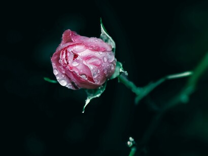 Chi resta, dopo una morte improvvisa, deve imparare a convivere con l’assenza e a trasformare il dolore in memoria viva