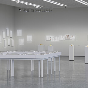 Maria Hahnenkamp, ausstellungsansicht. Mit freundlicher genehmigung des Unteren Belvedere