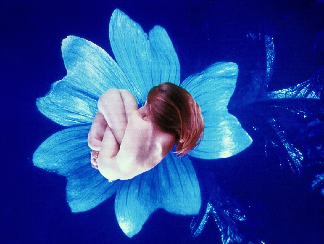Pipilotti Rist, Courtesy Homo Sapiens, 2005, Still from video, Audio video installation, changing sizes, music by Anders Guggisberg & Pipilotti Rist, Courtesy the artist; Hauser & Wirth