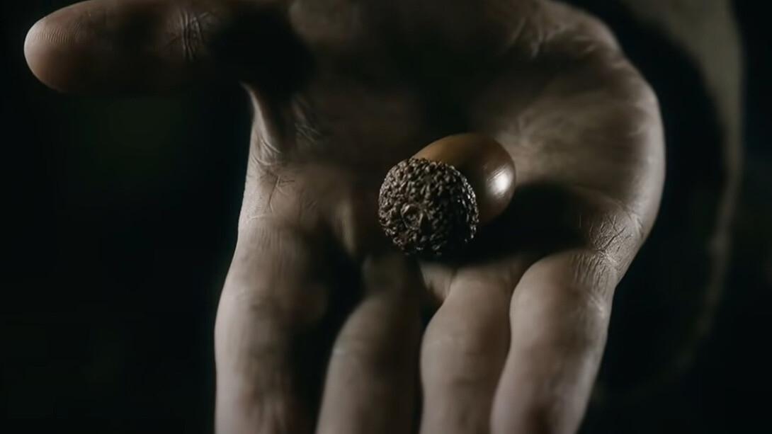 ¿Por qué invertimos más tiempo en vivir preocupados que en sembrar y cultivar lo que nos es grato?