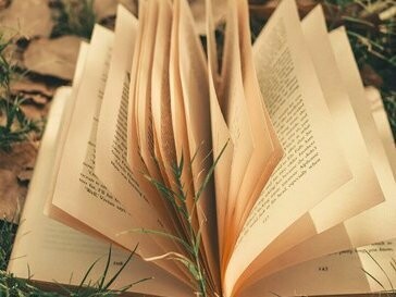 Das conversas, entrevistas, encontros e memórias que fui recolhendo, percebi que aprender uma língua minoritária não é apenas um gesto intelectual — é um ato de reconexão. Um retorno ao que ficou para trás, ao que foi negado, silenciado ou esquecido. Um retorno às vozes que nos antecederam e às histórias que o tempo tentou calar