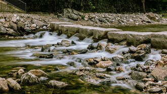 Agora, estou em cima da pedra que rola na casa de Yemanjá. A Mãe do Mar, aquela que ensina a amar. Você sabe né dona Alma? Quem me recebeu foi Julia de Janaína, então me sinto muito Bem Cuidada e Acolhida. Agradecida Julia de Janaina, sobretudo, sabe por quê? Porque ela Cuida de Gente, quer dizer, de Almas, ainda sem gênero, mas intencionalmente femininas. Nas asas do passarinho ou nas patas da Lobinha. Eu sei que a Alma não tem gênero? Tem dona Alma?
