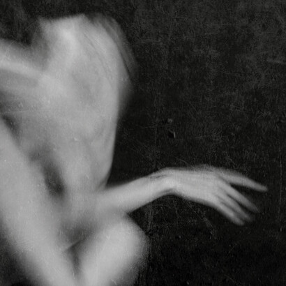 Chrysalis Room VII, 2013