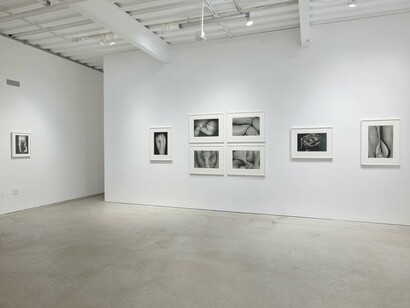 Moriyama Daido, Dog and man, exhibition view. Courtesy of Casemore Gallery 