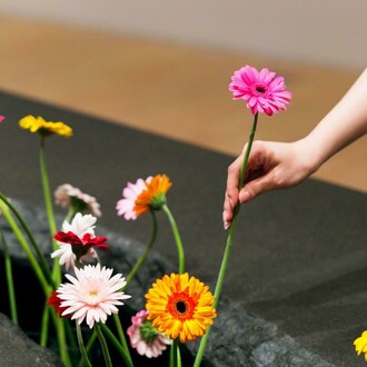 Lee Mingwei, The Moving Garden. Courtesy of NGV