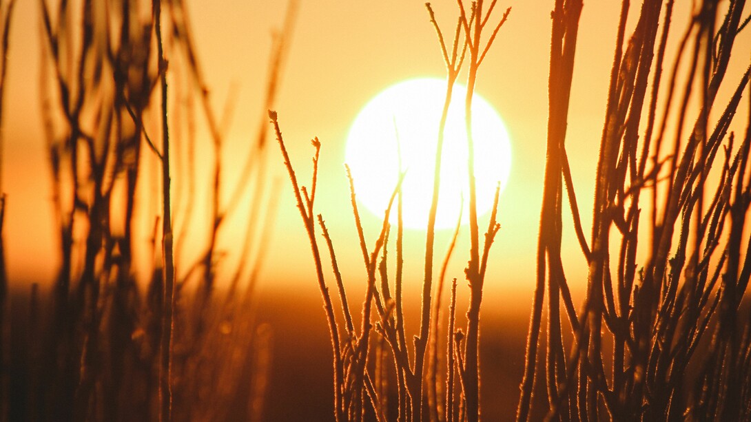 El Sol, fuente de vida y calor