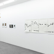 Various artists, Hay un pájaro azul en mi corazón (There’s a bluebird in my heart), exhibition view. Courtesy of Gallery Hache. Photo by Ignacio Iasparra