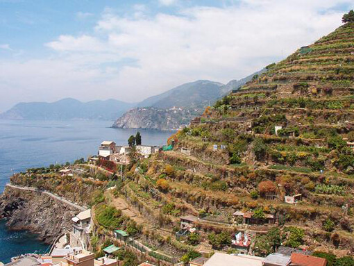 Vigneti a terrazza
