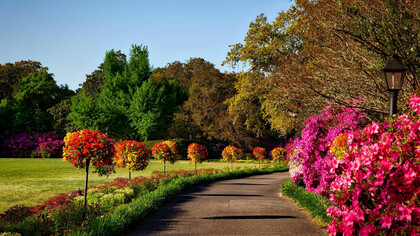 A garden can be a place, a state of mind, or a symbol for growth, peace, abundance, creativity, or spiritual life
