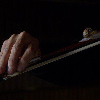 Anri Sala. Courtesy of Castello di Rivoli Museo d’Arte Contemporanea