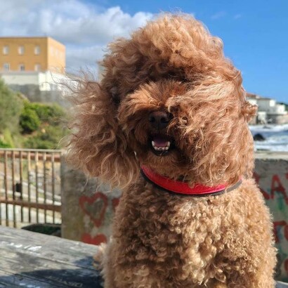 Taitù a Livorno sfida il libeccio