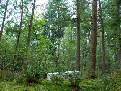 The coffin quickens the process of decomposing the body and turns it into compost for the earth