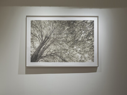 Priscilla Rattazzi, Between worlds, exhibition view. Courtesy of Robilant+Voena Gallery