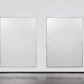 Santiago Taccetti, ISO 9001, installation view