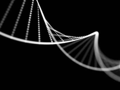DNA is a double helix, discovered by Watson & Crick in 1953
