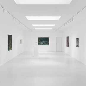 Claudia Koh, Soft spot, exhibition view. Courtesy of Super Dakota