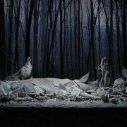 Claudia Rogge, Lost in Paradise II_III, Lambda on Alu-Dibond,  2012, 131 x 250 cm, courtesy Galerie Voss,  Düsseldorf