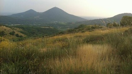 Colli Euganei. Versanti aridi di prateria