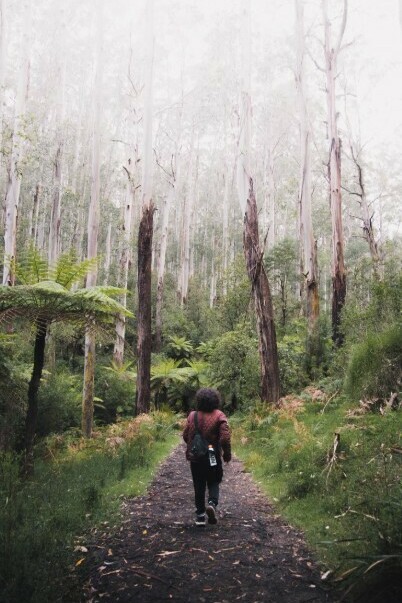 A person walking along a pathway surrounded by green grass and trees on a sunny day