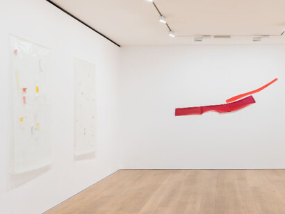 Guy Mees, Exhibition view. Courtesy of David Zwirner 